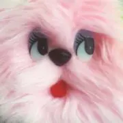 kankanの画像