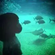 めの画像