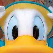 あさドナさんの画像