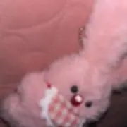 うさの画像