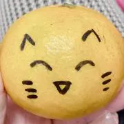 ミニの画像