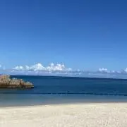 Tottanの画像