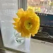 早瀬♬