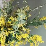 ♡の画像