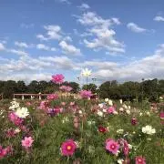 boooooo‼︎の画像