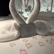 わんやの画像