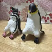 ハリネズミの画像