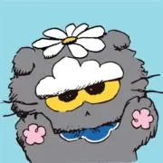 Kkkの画像