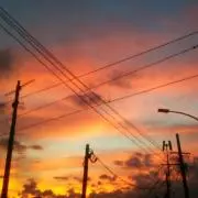 茜の画像
