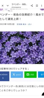 ポコちゃんの画像