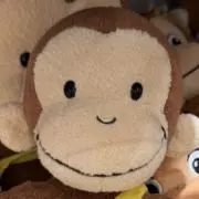 だ。の画像