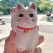 にゃんの画像