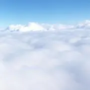 サファリの画像