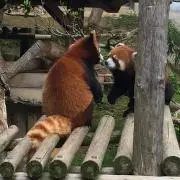 nonoの画像