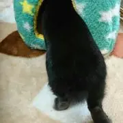 豆♡♡の画像