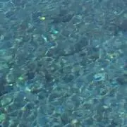 batokadeaku
