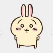 うさぎの画像
