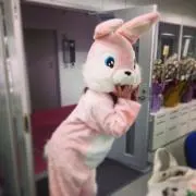 EMの画像