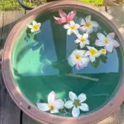 きりたんぽの画像