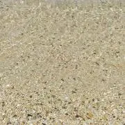 とっしーの画像