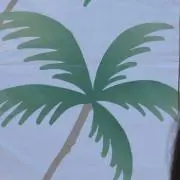 Heikinanyuの画像