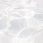 moの画像