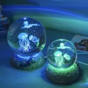 クラゲ