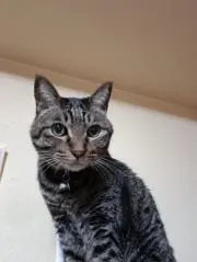 ゆき