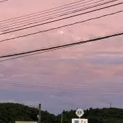 Sの画像