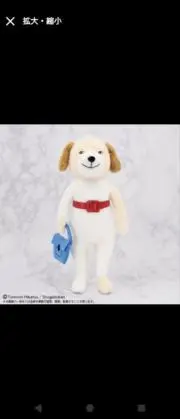 ちぃの画像