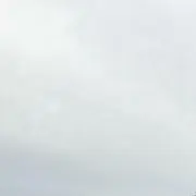 フロッグスキン
