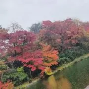 アレックシウス