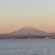 ゆきの画像