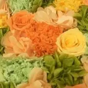 riの画像