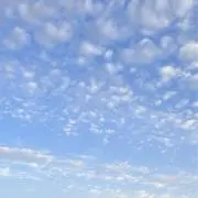mercyの画像