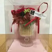 Arupakaの画像