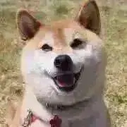 ちょびママ　おまとめ大歓迎！の画像