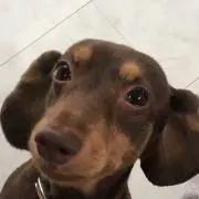 ぱんつ