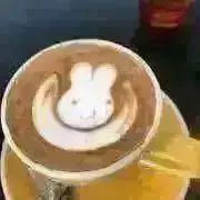 ガナッシュの画像