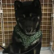 まひろ