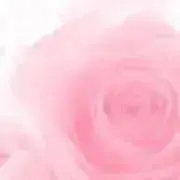 もも