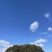 sa