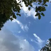 ザッカーの画像