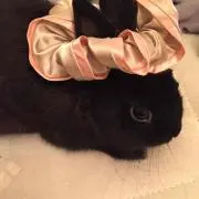 しいな