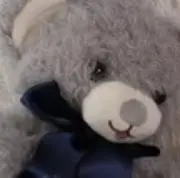 くまふぃんの画像