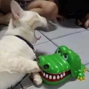 るの画像