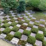 シナモンの画像