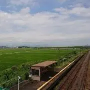 しっぽさきまるまりの画像