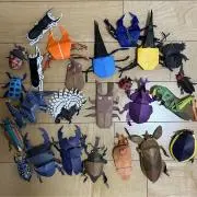 さくらの画像