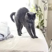 あいの画像